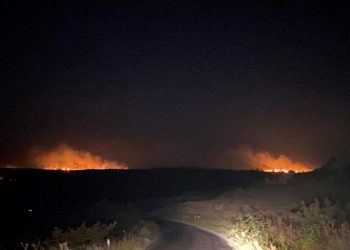 Bulgaristan’ın Türkiye hududunda orman yangını: Çok sayıda takım bölgede