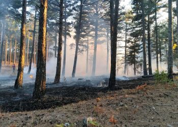 Çanakkale’de orman yangını denetim altında
