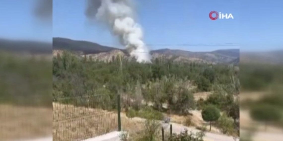 Çankırı’da orman yangını