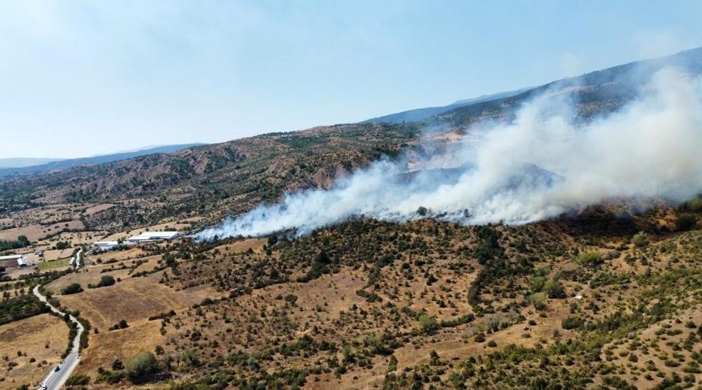 Çankırı’da orman yangını