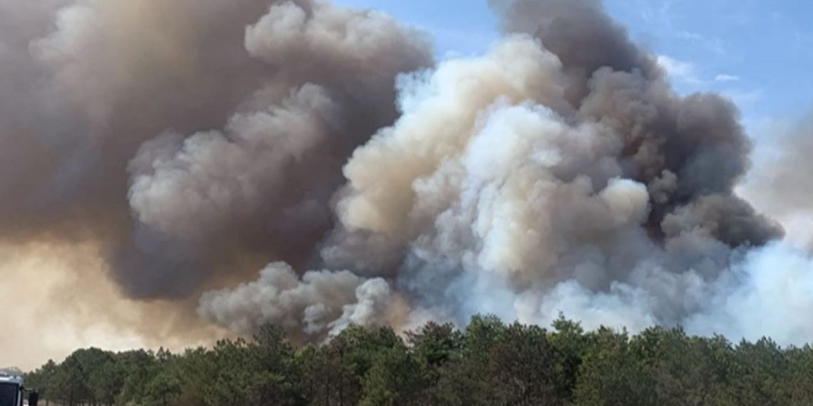 Çerkezköy’de orman yangını