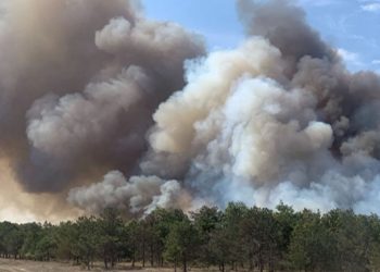 Çerkezköy’de orman yangını