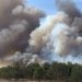 Çerkezköy’de orman yangını
