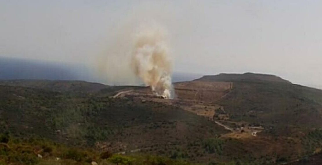 Çeşme’de çöplük yangını ormana sıçradı