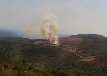 Çeşme’de çöplük yangını ormana sıçradı