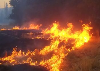 Çorum’da anız yangını 100 dönüm alana ziyan verdi