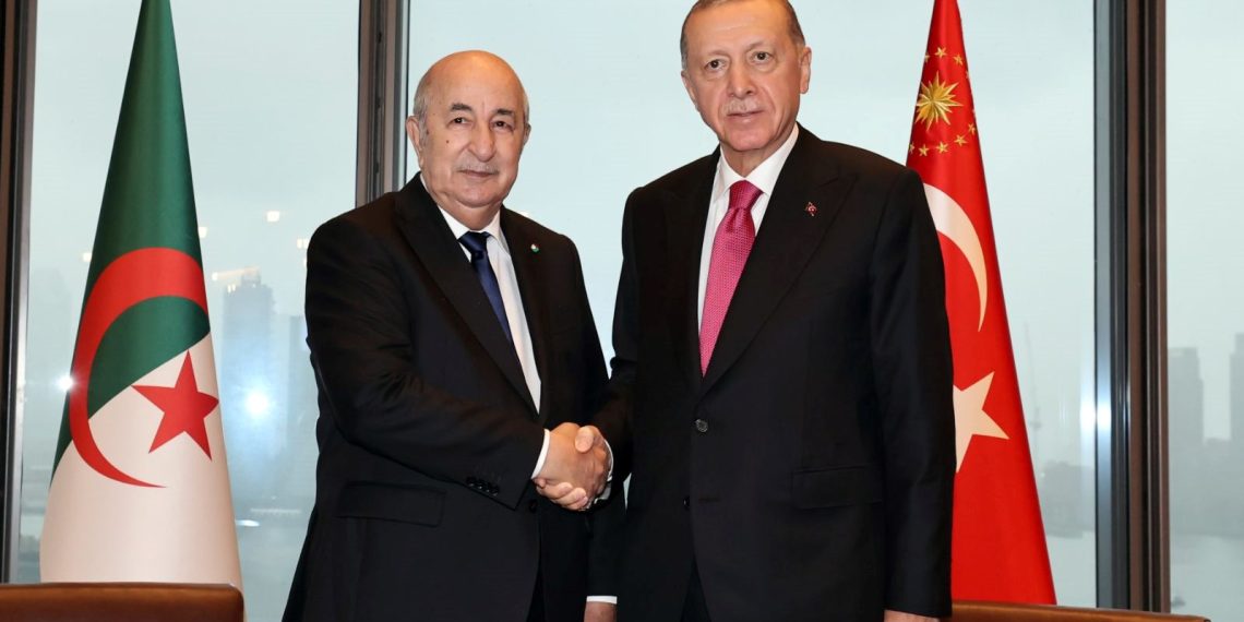 Cumhurbaşkanı Erdoğan, Cezayir Cumhurbaşkanı Tebbun ile görüştü