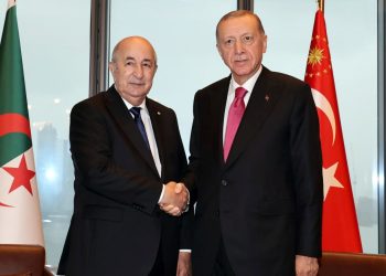 Cumhurbaşkanı Erdoğan, Cezayir Cumhurbaşkanı Tebbun ile görüştü