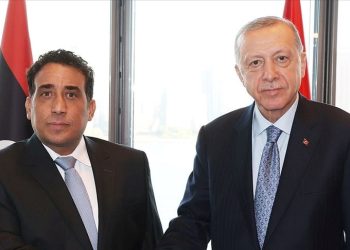 Cumhurbaşkanı Erdoğan, Libya Başkanlık Kurulu Lideri ile görüştü