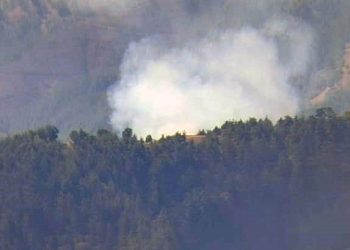 Diyarbakır, Adana ve Bingöl’de orman yangını