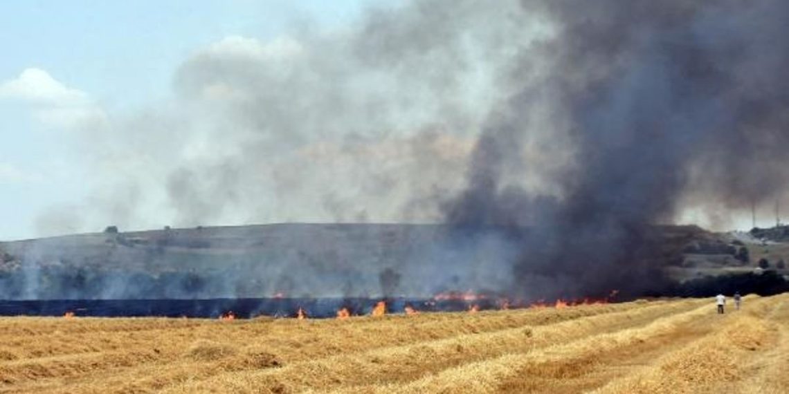Edirne’de orman yangını çıktı