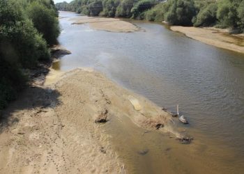 Ege’nin can damarı kuruyor
