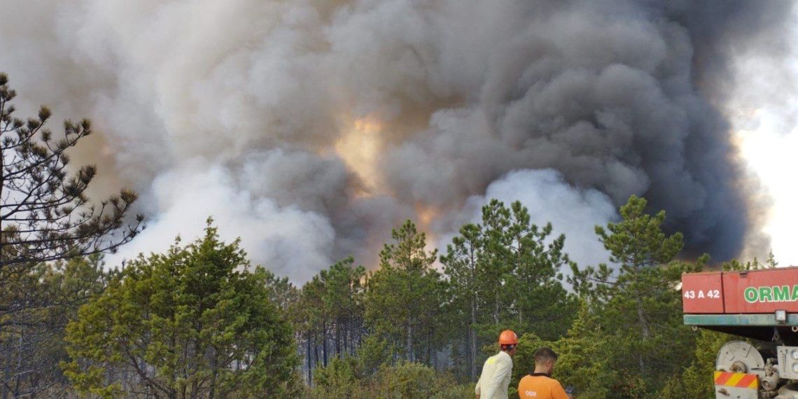 Eskişehir’deki orman yangınının şüphelisi özgür