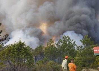 Eskişehir’deki orman yangınının şüphelisi özgür