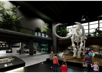 Fosil nedir? Fosiller nasıl oluşur?