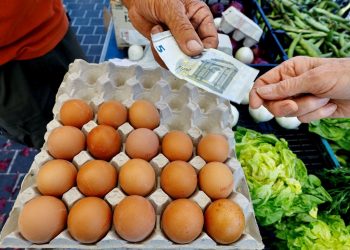 Fransa’da süpermarketlerdeki 5 bin eserin fiyatları sabitlenecek