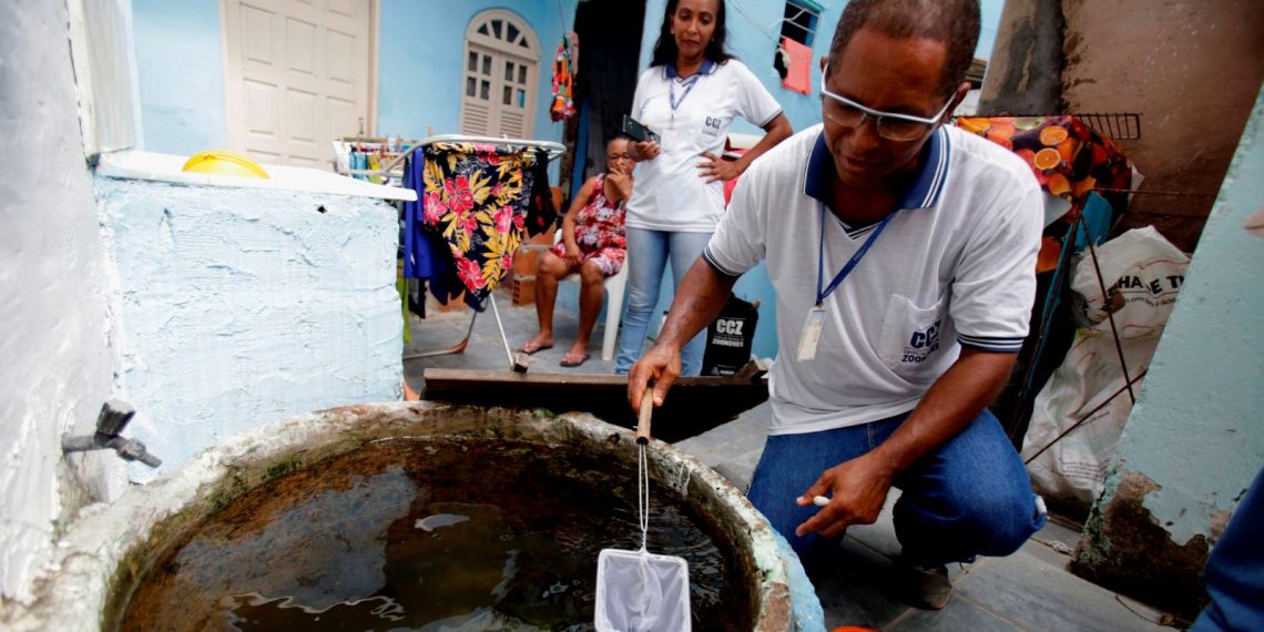 Fransa’ya bağlı Martinik ve Guadeloupe’ta “dang humması” alarmı