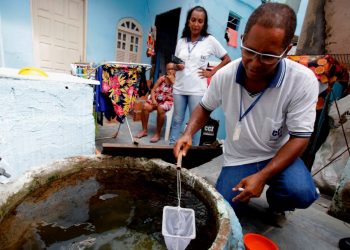 Fransa’ya bağlı Martinik ve Guadeloupe’ta “dang humması” alarmı