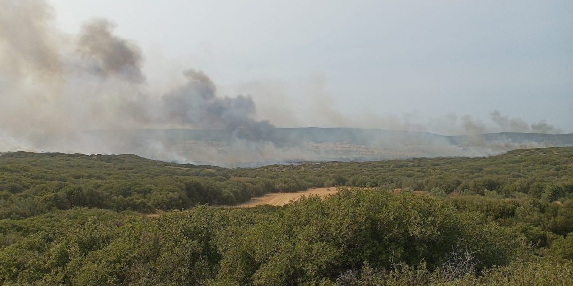 Gelibolu Yarımadası’ndaki yangında bir gözaltı