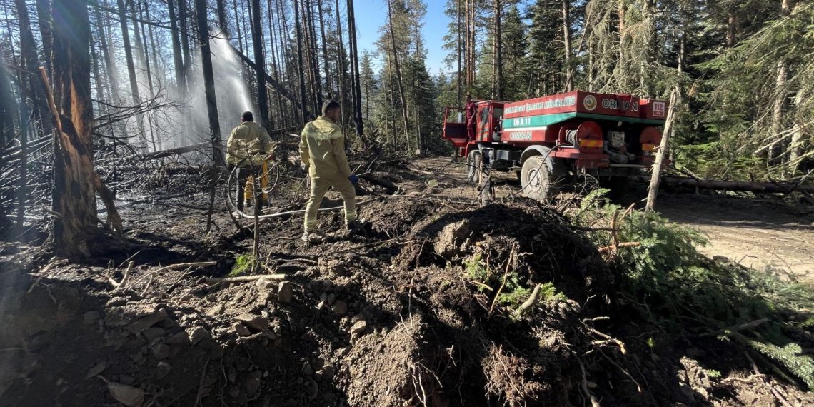 Gerede ve Kızılcahamam’da orman yangını