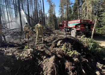 Gerede ve Kızılcahamam’da orman yangını