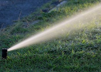 İSKİ’den tasarruf atılımı: Bahçe ve peyzaj sulama abonelikleri durduruldu