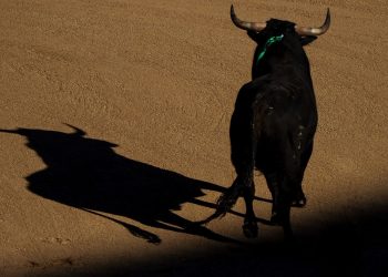 İspanya’da boğa güreşlerinin kaldırılması için şov yapıldı