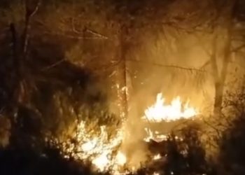 İstanbul Çekmeköy’de orman yangını: Takımlar bölgede