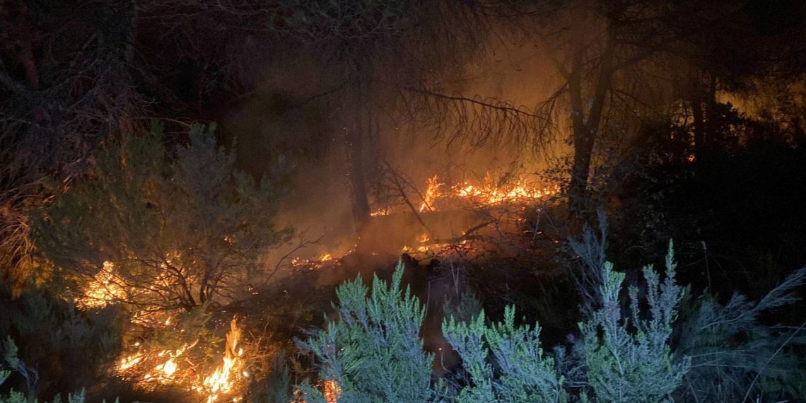 İstanbul Çekmeköy’deki orman yangını söndürüldü