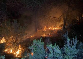 İstanbul Çekmeköy’deki orman yangını söndürüldü