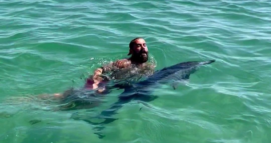 İstanbul’da yunus karaya vurdu