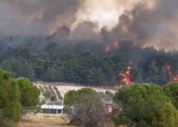 İzmir ve Osmaniye’de orman yangını