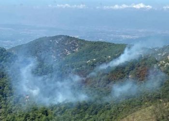 İzmir’de orman yangını (Kısmen denetim altına alındı)