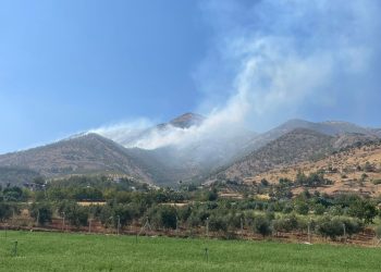 Kahramanmaraş’ta orman yangını