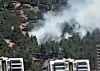 Kahramanmaraş’ta orman yangını