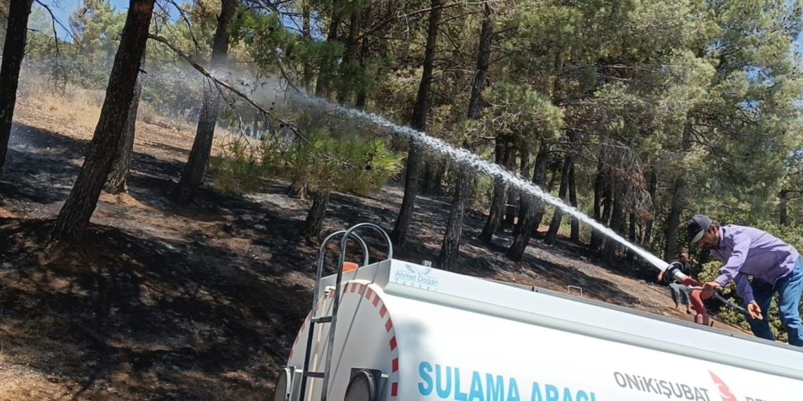 Kahramanmaraş’taki orman yangın denetim altında