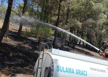Kahramanmaraş’taki orman yangın denetim altında