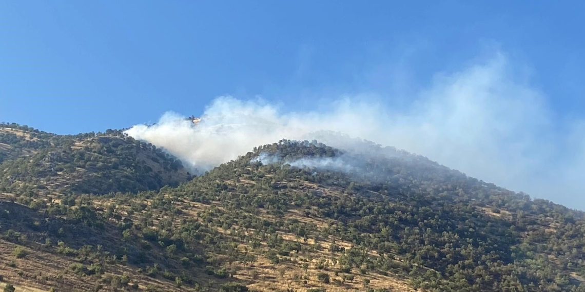 Kahramanmaraş’taki yangın denetim altında