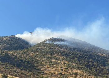 Kahramanmaraş’taki yangın denetim altında