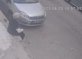 Kaldırımda otururken fare ısırdı