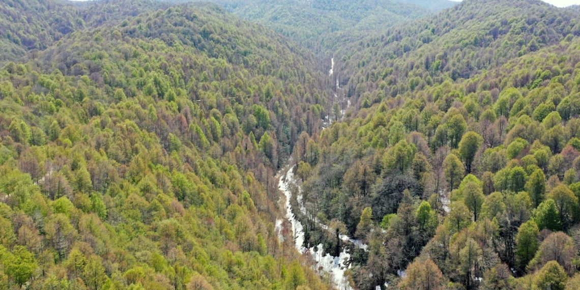 Kandıra’da ormanlık alanlara girişler yasaklandı