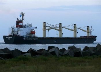 Karadeniz’de Rusya’ya karşın deniz trafiği: Ukrayna’nın alternatif koridoru nasıl çalışıyor?