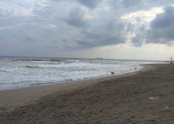 Karasu ve Kaynarca’da denize girmek yasaklandı