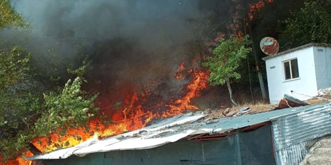 Kazdağları’ndaki orman yangını denetim altında