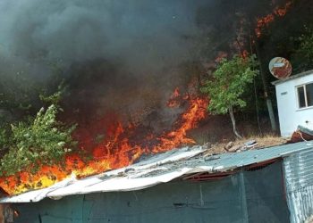 Kazdağları’ndaki orman yangını denetim altında
