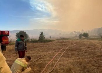 Kocaeli’de makilik alanda yangın