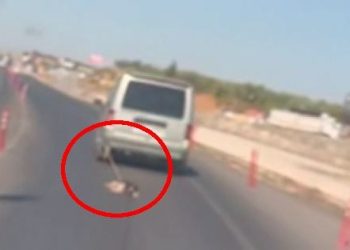 Köpeği araca bağlayıp sürükledi