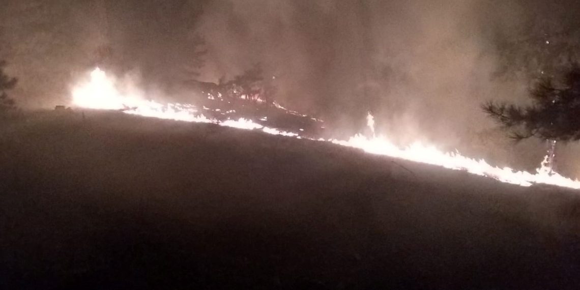 Köyceğiz’de orman yangını