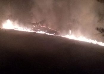 Köyceğiz’de orman yangını