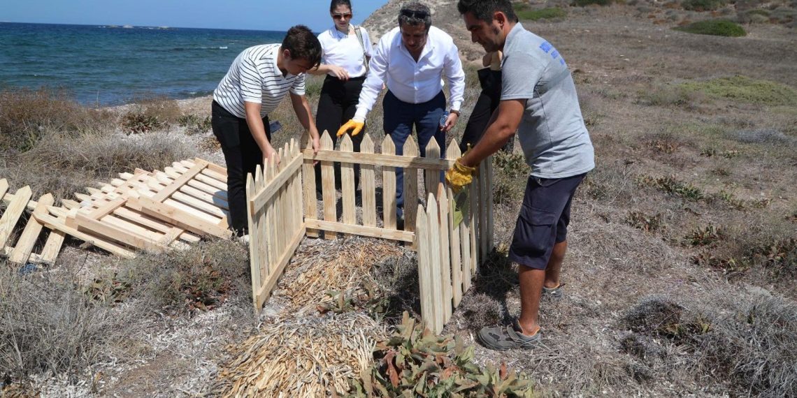 Kum zambaklarına çitlerle muhafaza: Koparmanın cezası 244 bin lira